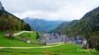 Chartreuse_20250424_12_small.jpg