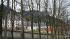 Chartreuse_20250424_15_small.jpg