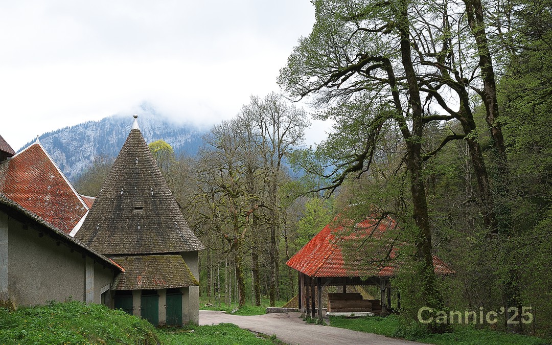 Chartreuse_20250424_16.jpg