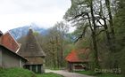 Chartreuse_20250424_16_small.jpg