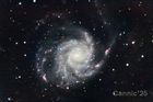 M101_20250517_02_small.jpg