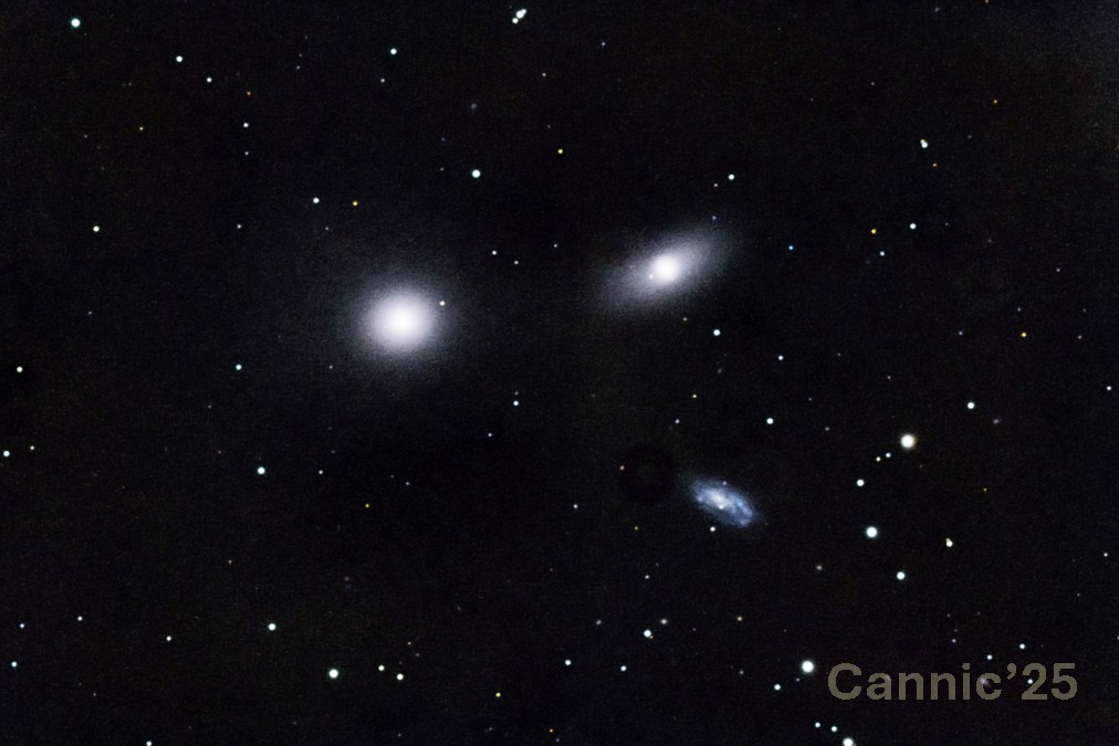 M105_20250515.jpg