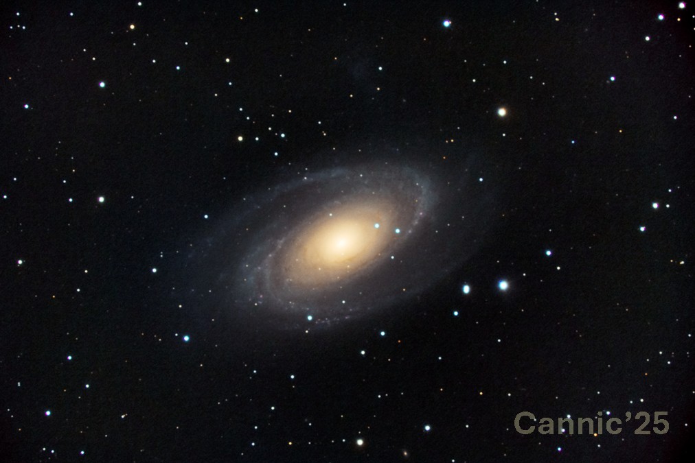 M81_20250204_1.jpg