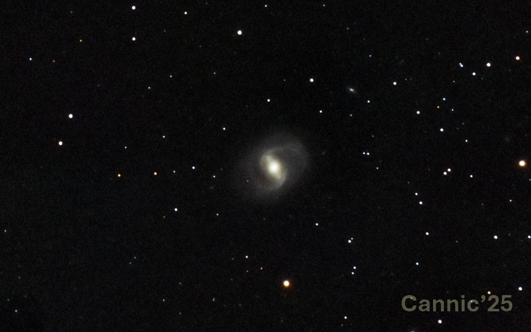M91_20250331.jpg