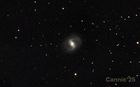 M91_20250331_small.jpg
