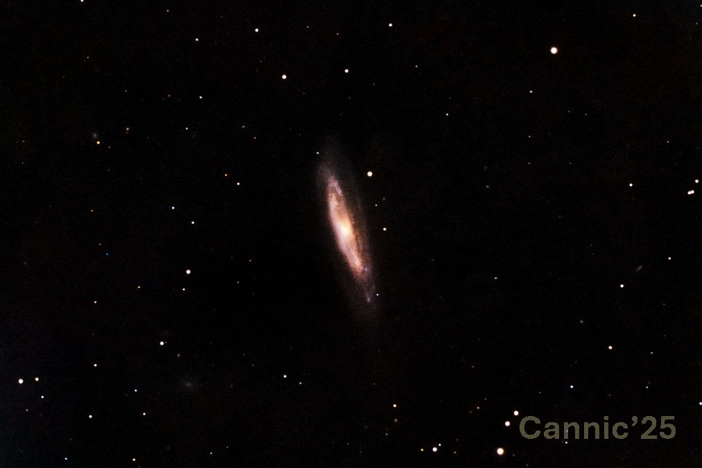 M98_20250527.jpg