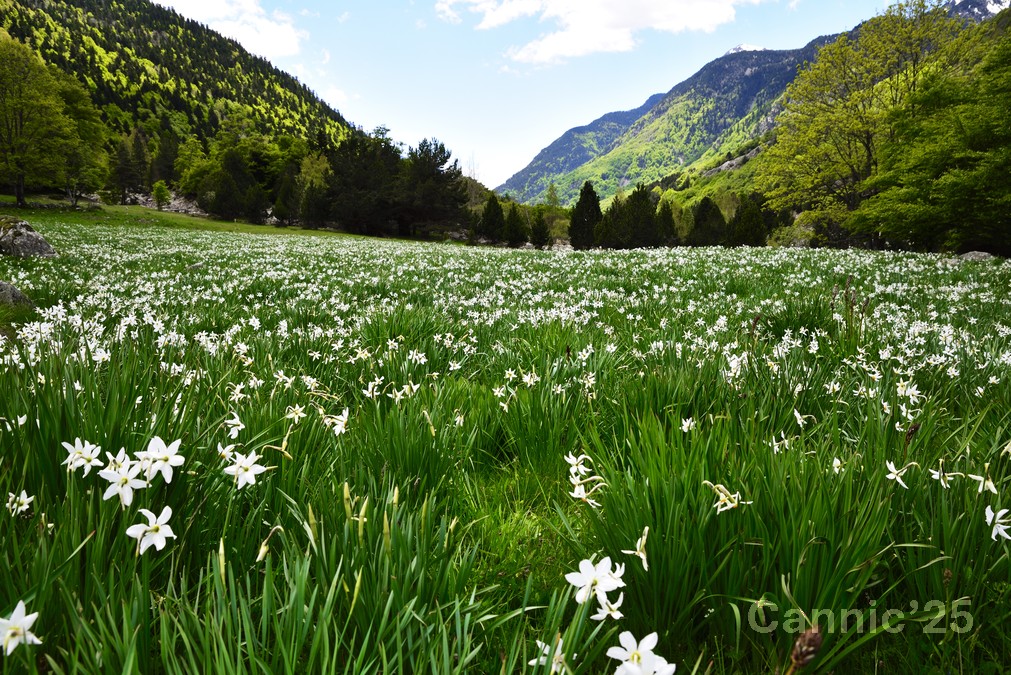 LlacBesiberris_20250524_11.jpg
