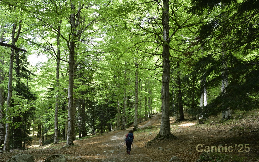 LlacBesiberris_20250524_12.jpg