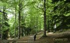 LlacBesiberris_20250524_12_small.jpg
