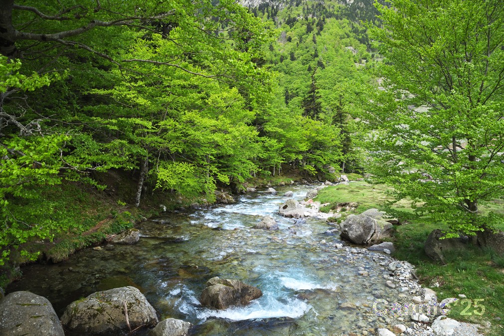 LlacBesiberris_20250524_13.jpg