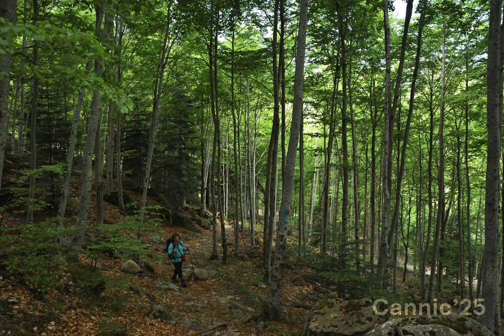 LlacBesiberris_20250524_14.jpg