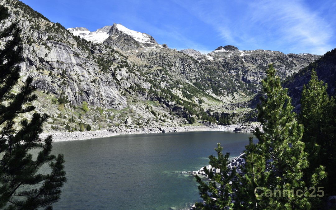 LlacTravessani_20250525_04.jpg