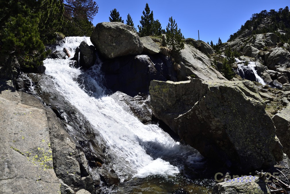 LlacTravessani_20250525_16.jpg
