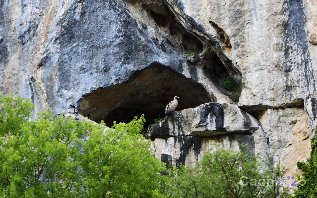LlacTravessani_20250525_61.jpg
