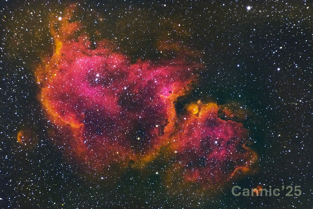 IC1848_20250112_01.jpg