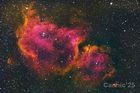 IC1848_20250112_01_small.jpg