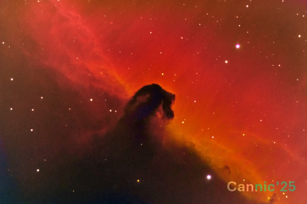 IC434_20250208.jpg
