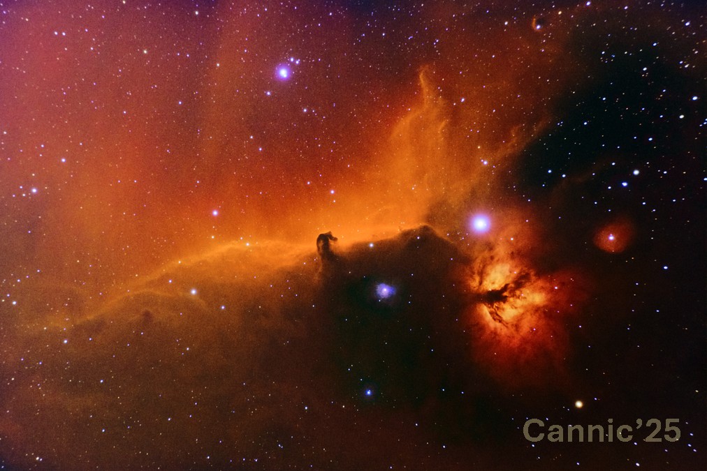 IC434_20250223.jpg