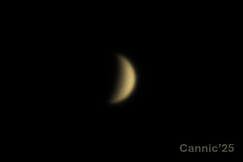 Venus_20250131.jpg